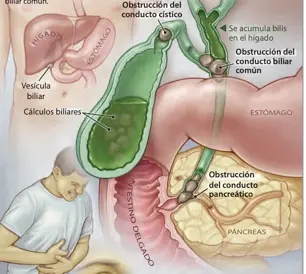 Image-5-05-24-at-5.12-PM